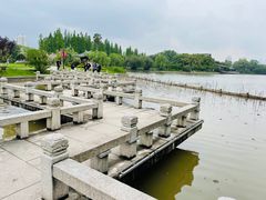 -江心屿景区