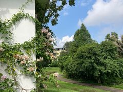 -广西壮族自治区药用植物园