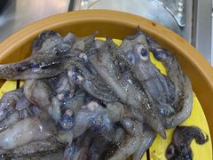 -龍歌自助小火锅(秦淮水游城店)