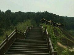 -铁山坪森林公园