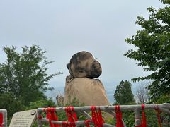 -嵖岈山风景区
