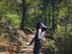 -少华山国家森林公园