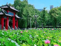-四川大学(望江校区)