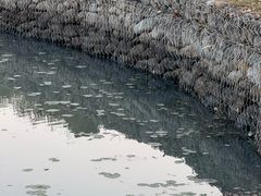 -东钱湖旅游度假区