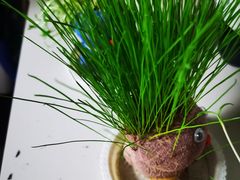 -百荣世贸商城