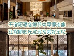 -洛阳国际大酒店