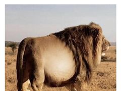 -环球国际影城(天鸿广场LUXE巨幕店)