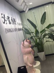 -张小野·专业半永久纹眉