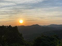 -天鹿湖森林公园