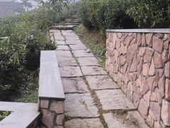 -帐篷客·溪龙茶谷度假酒店