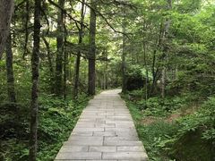 -汤旺河林海奇石景区