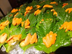 -初花·日本料理