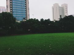 -中国福利会少年宫