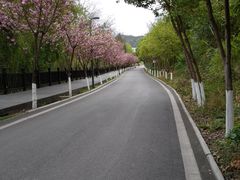 -仙海旅游度假区