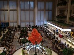 -曲江惠宾苑宾馆(大雁塔大唐不夜城店)