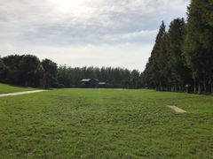 -合肥滨湖国家森林公园