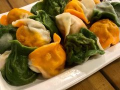 彩皮饺子-宝源饺子(麦子店街店)
