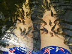 -龙达温泉生态城