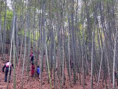 -穹窿山景区