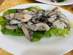-金砂阿洲鱼册店