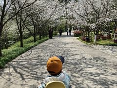 -南山植物园