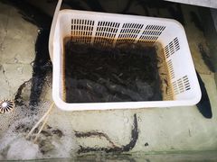 -七的湖·晚芳亭·阳澄湖农家菜·大闸蟹(莲花岛店)