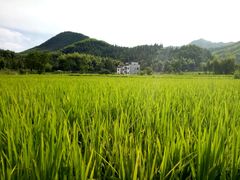 -塔川景区