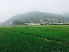 -南泥湾风景区