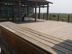 -北海金海湾红树林生态旅游区