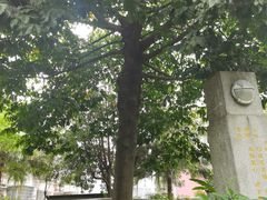 -广州神农草堂中医药博物馆
