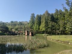 -森波拉奇妙世界