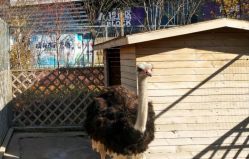 -萌宠亲子动物乐园(槐房万达店)