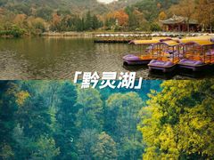 -黔灵山公园
