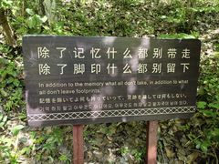 -燕子河大峡谷天坑仙境