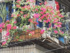 -宜宾燃面(汉渝路店)