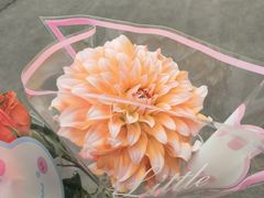 -铁西广场(地铁站)