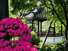 -上海醉白池公园