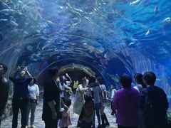 -华夏文旅海洋公园