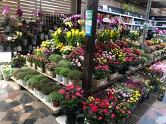 -秦美花卉(天朗·莱茵小城2期店)