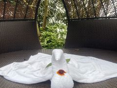 -天目湖涵田半山温泉