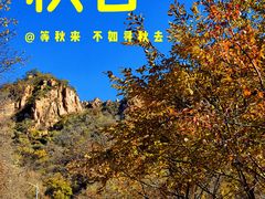 -大岭沟猕猴桃谷风景区