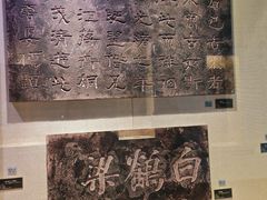 -白鹤梁水下博物馆