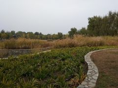 -永定河休闲森林公园