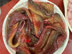 -储奇门鳝鱼火锅(总店)