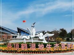 -盐城丹顶鹤湿地生态旅游区