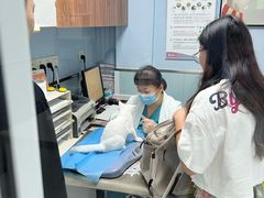 -纳吉亚猫专科动物诊疗中心(蒋宅口分院)