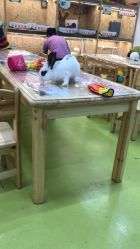 -萌宠家互动乐园