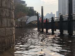 -苏州河梦清园环保主题公园