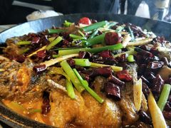 -老板恋上鱼(恒隆广场店)