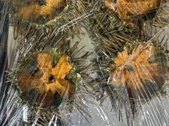 -宾朋海鲜饭庄(兴海路店)